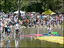 SVDuckRace08-095c.jpg