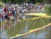 SVDuckRace08-104b.jpg