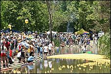 SVDuckRace08-106b.jpg