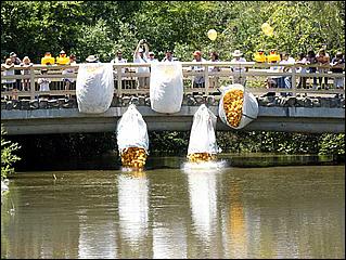 SVDuckRace08-059d.jpg