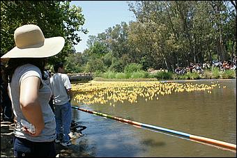 SVDuckRace08-069b.jpg