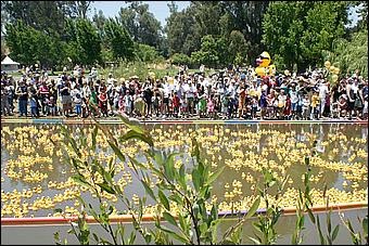 SVDuckRace08-087C.jpg