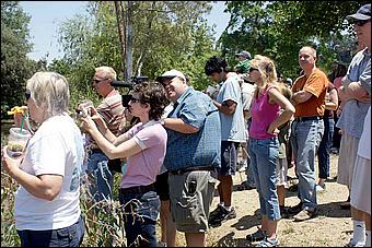 SVDuckRace08-088C.jpg