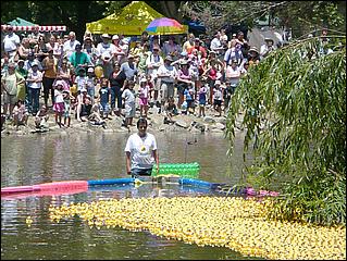 SVDuckRace08-094c.jpg