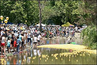 SVDuckRace08-105d.jpg