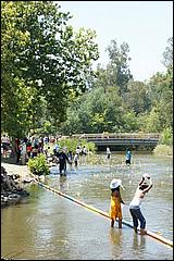 SVDuckRace08-113b.jpg