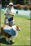 BeachBlanketBowWow09-044b.jpg