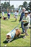 BeachBlanketBowWow09-045c.jpg