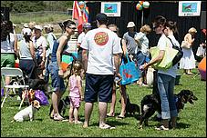 BeachBlanketBowWow09-073b.jpg