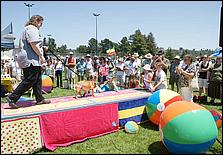 BeachBlanketBowWow09-258c.jpg