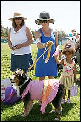 BeachBlanketBowWow09-038c.jpg