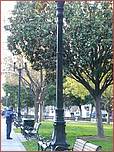 TeaParty_APR09-178b.jpg