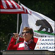 TaxDayTeaParty2012-096-web.jpg