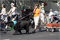 WGFoundersDayParade-014c.jpg