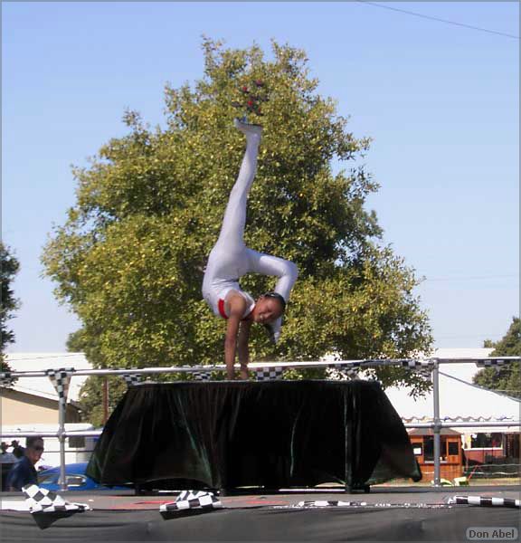 AlamedaCoFair06-17b.jpg