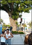 BigBands+BBQ08-085c.jpg