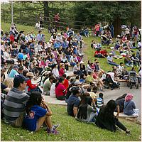 CupertinoCherryBlossomFestival_2019-163c1.jpg