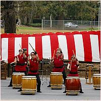 CupertinoCherryBlossomFestival_2019-169a.jpg