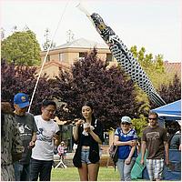 CupertinoCherryBlossomFestival_2019-086a.jpg