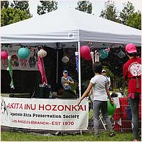 CupertinoCherryBlossomFestival_2019-088.jpg