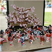 CupertinoCherryBlossomFestival_2019-112a1.jpg