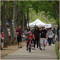 CupertinoCherryBlossomFestival_2019-119.jpg