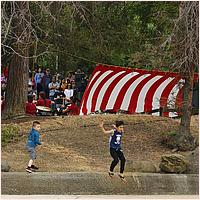 CupertinoCherryBlossomFestival_2019-148c1.jpg