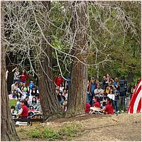 CupertinoCherryBlossomFestival_2019-151a.jpg