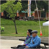 CupertinoCherryBlossomFestival_2019-245a.jpg