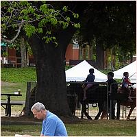 CupertinoCherryBlossomFestival_2019-259a.jpg