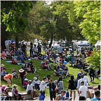 CupertinoCherryBlossomFestival_2019-066.jpg