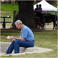 CupertinoCherryBlossomFestival_2019-260c2.jpg