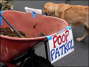 LosAltosPetParade06-035b.jpg