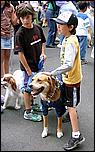 LosAltosPetParade06-017b.jpg