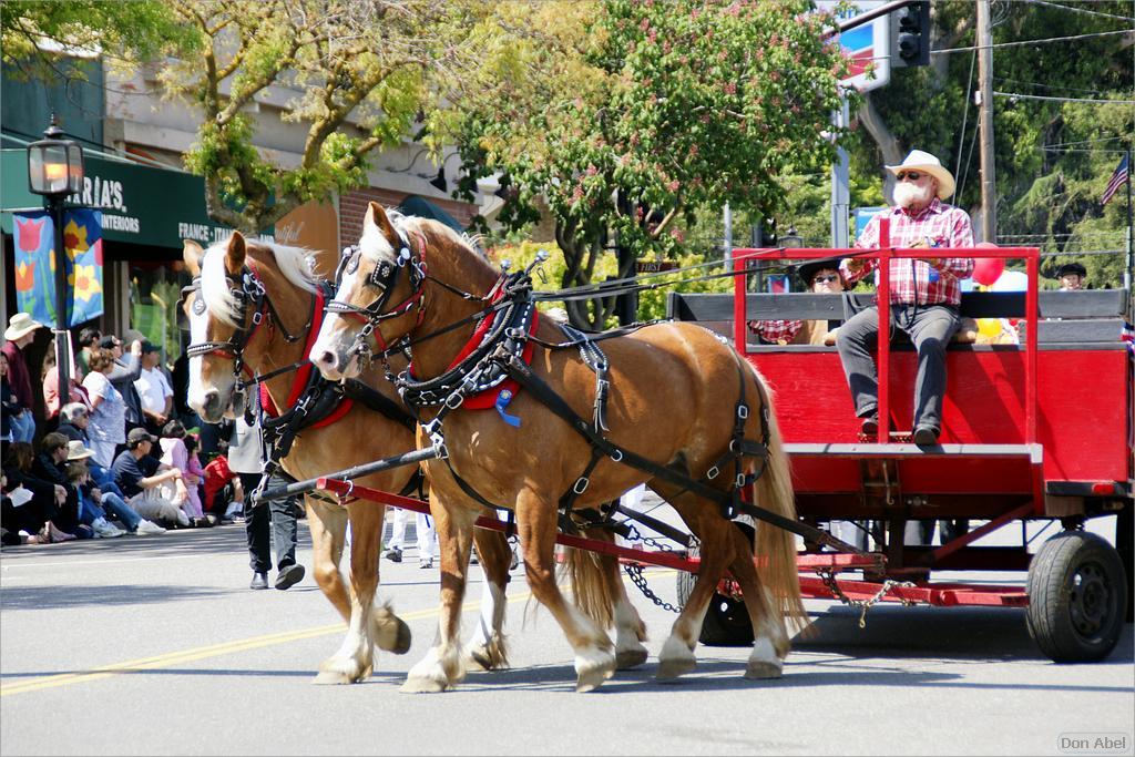 LosAltosPetParade10-40ab.jpg - for personal use