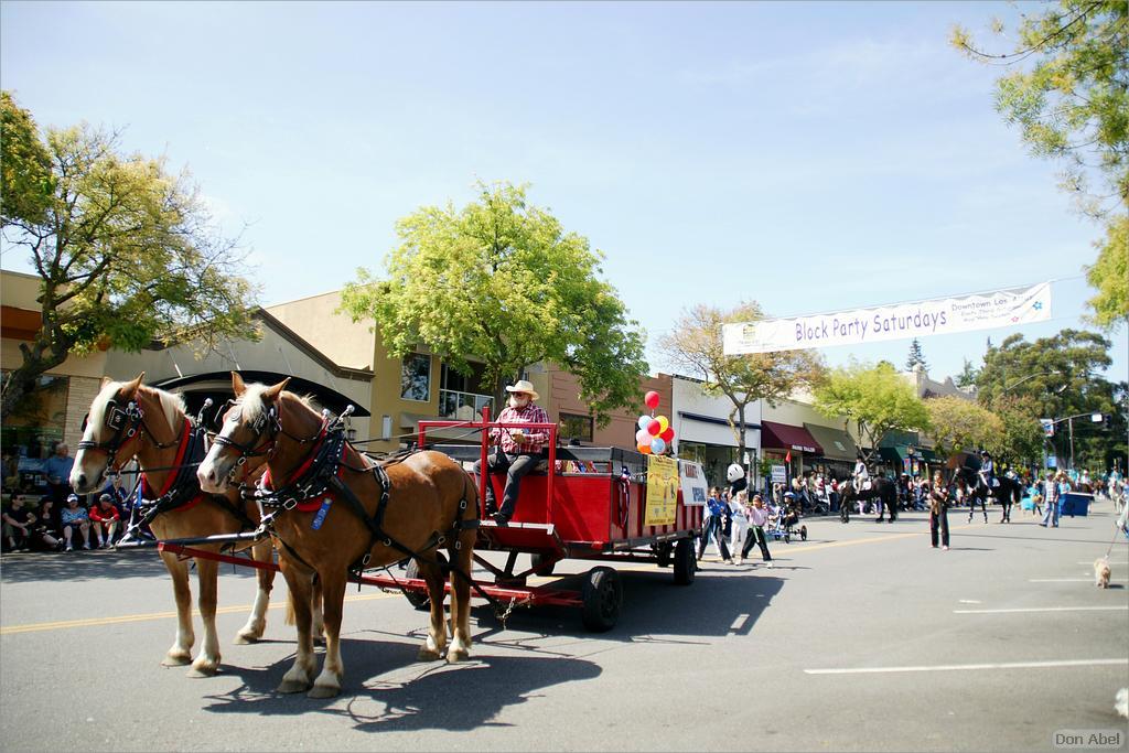 LosAltosPetParade10-43ab.jpg - for personal use