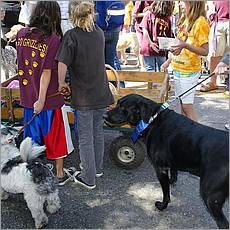 LosAltosPetParade10-08b.jpg