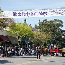 LosAltosPetParade10-39b.jpg