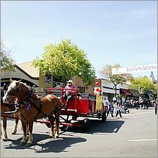 LosAltosPetParade10-43ab.jpg