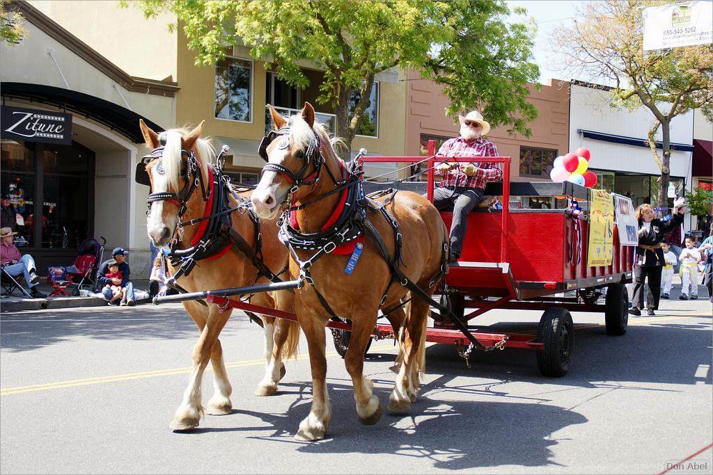 LosAltosPetParade10-42ab.jpg - for personal use