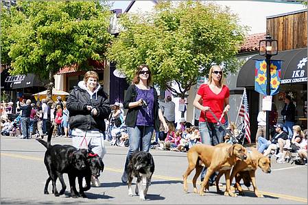 LosAltosPetParade10-37ab.jpg