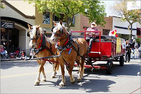 LosAltosPetParade10-42ab.jpg