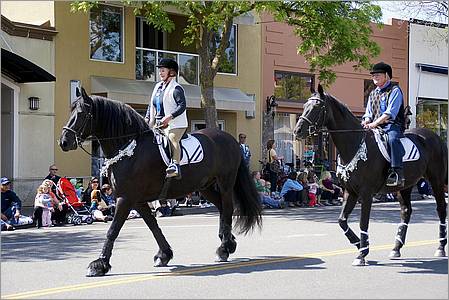 LosAltosPetParade10-46ab.jpg