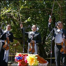 Mole_and_Mariachi_Festival_2015-033a-web.jpg