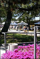 SaratogaRotaryArt06-26b.jpg