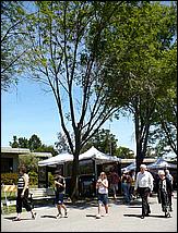 SaratogaRotaryArt07-060b.jpg