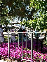 SaratogaRotaryArt07-182b.jpg