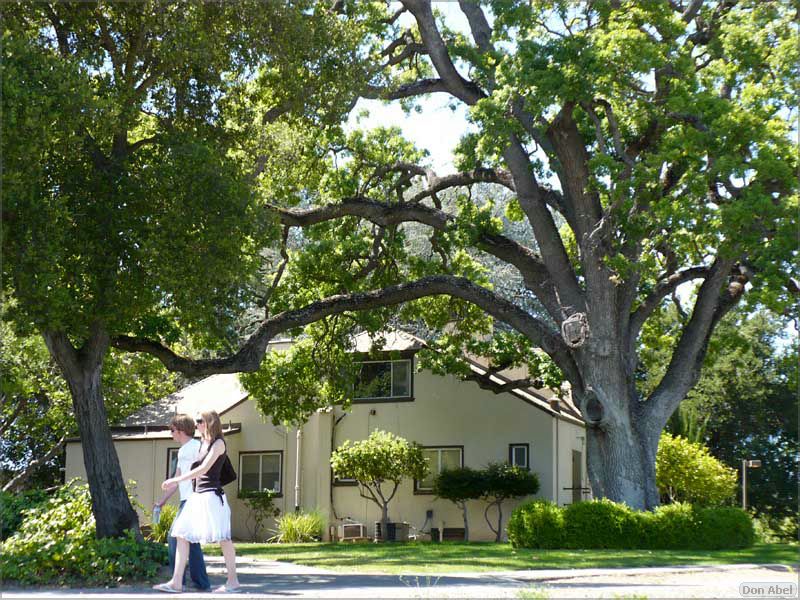SaratogaRotaryArt07-199b.jpg