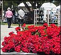 SaratogaRotaryArt07-022b.jpg