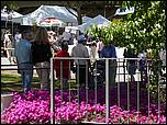 SaratogaRotaryArt07-179b.jpg